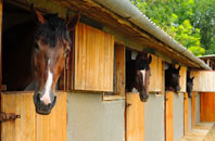 free Glyn Ceiriog stable construction quotes